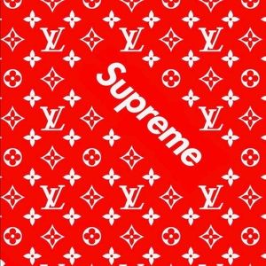 Meet your Posher, Tyson